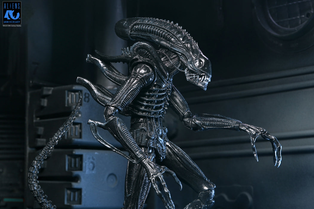 NECA Figura de Accion Ultimate: Aliens 40 Aniversario - Warrior Xenomorph Black 7 Pulgadas