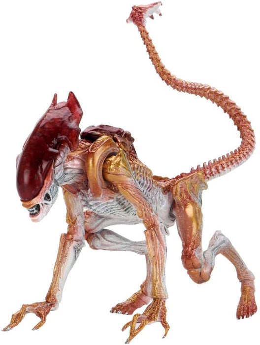 NECA Figura de Accion: Aliens - Alien Pantera 7 Pulgadas