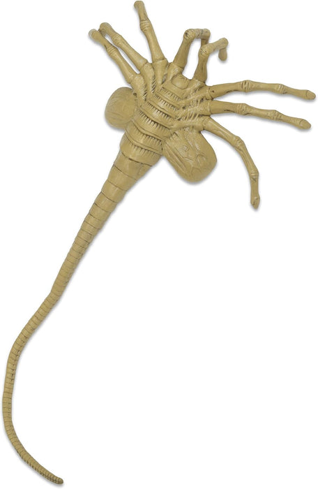 NECA Life Size Foam Prop Replica: Aliens - Facehugger