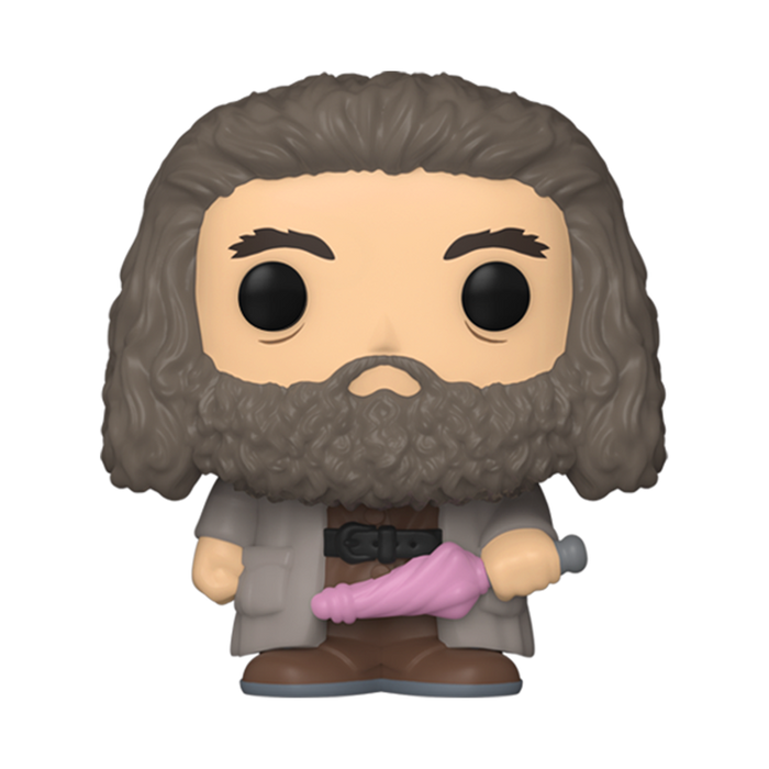Funko Bitty Pop: Harry Potter - Hagrid y Dobby 2 Pack