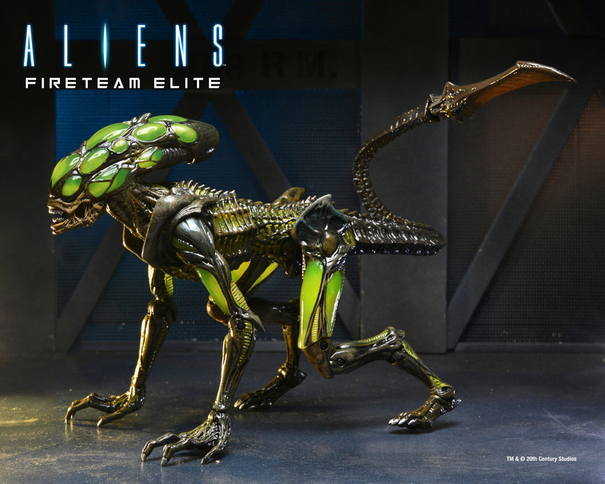 NECA Figura de Accion: Aliens Fireteam Elite - Bursters y Spitter 7 Pulgadas Aleatorio
