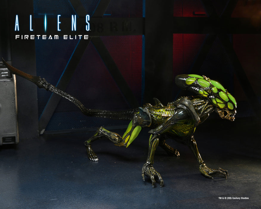 NECA Figura de Accion: Aliens Fireteam Elite - Bursters y Spitter 7 Pulgadas Aleatorio