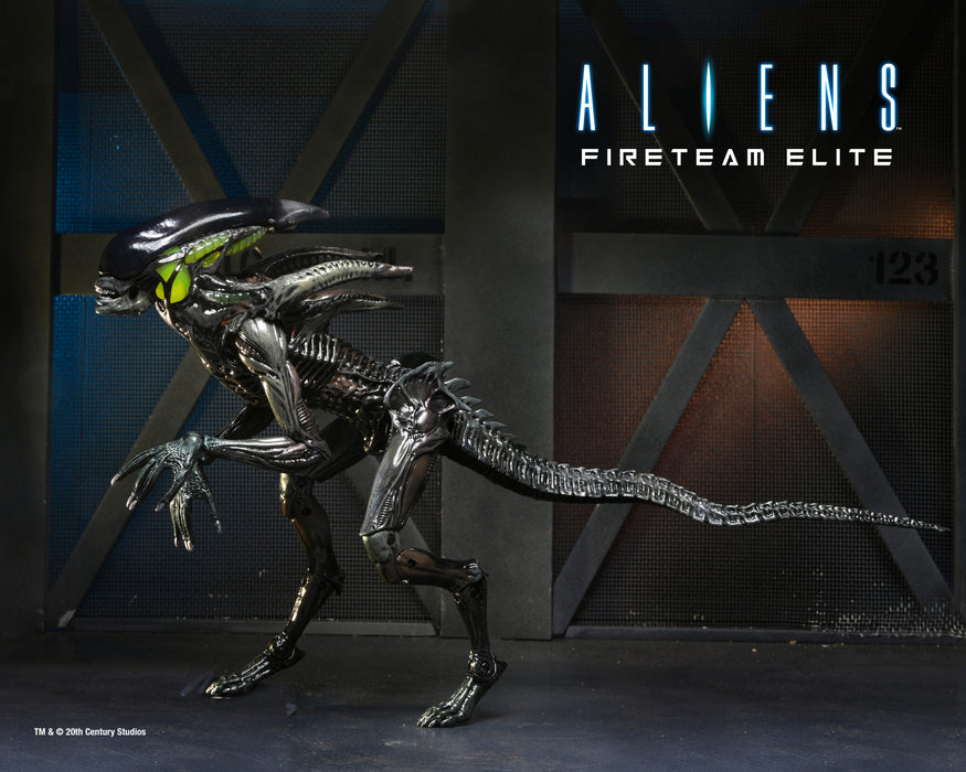 NECA Figura de Accion: Aliens Fireteam Elite - Bursters y Spitter 7 Pulgadas Aleatorio