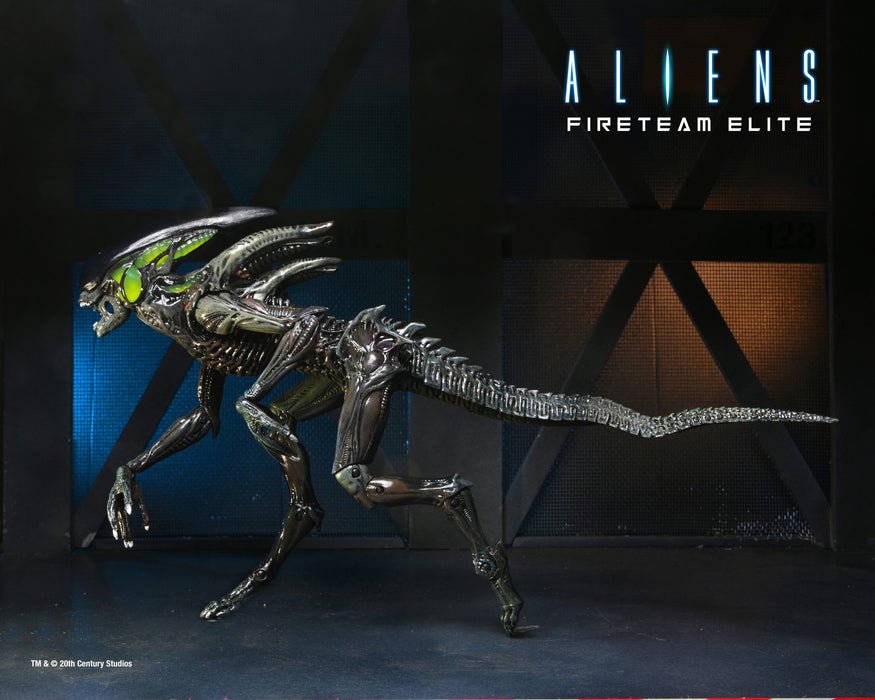NECA Figura de Accion: Aliens Fireteam Elite - Bursters y Spitter 7 Pulgadas Aleatorio