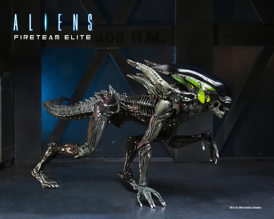 NECA Figura de Accion: Aliens Fireteam Elite - Bursters y Spitter 7 Pulgadas Aleatorio