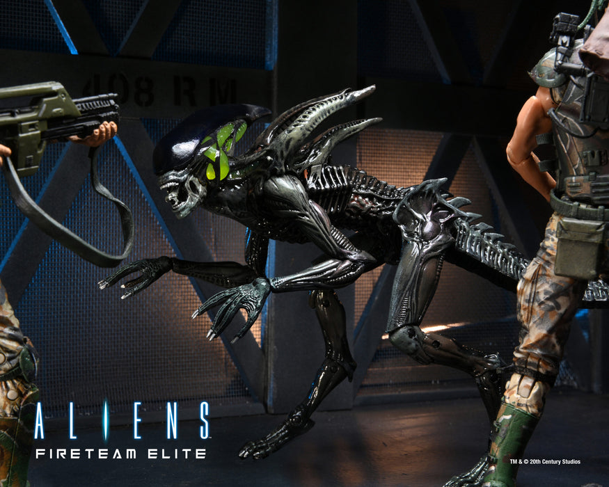 NECA Figura de Accion: Aliens Fireteam Elite - Bursters y Spitter 7 Pulgadas Aleatorio