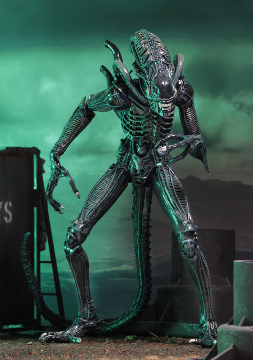 NECA Figura de Accion Ultimate: Alien 1986 - Alien Warrior Blue 7 Pulgadas