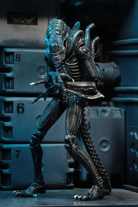 NECA Figura de Accion Ultimate: Alien 1986 - Alien Warrior Blue 7 Pulgadas