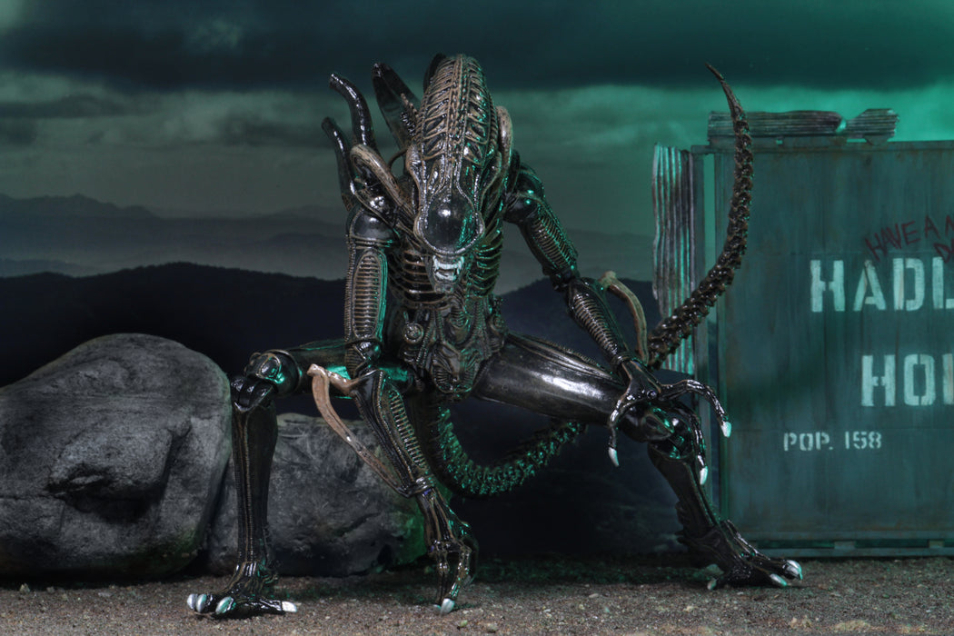 NECA Figura de Accion Ultimate: Alien - Aliens Warrior 1986 Brown 7 Pulgadas