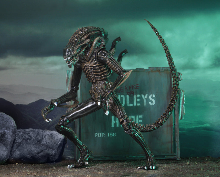 NECA Figura de Accion Ultimate: Alien - Aliens Warrior 1986 Brown 7 Pulgadas