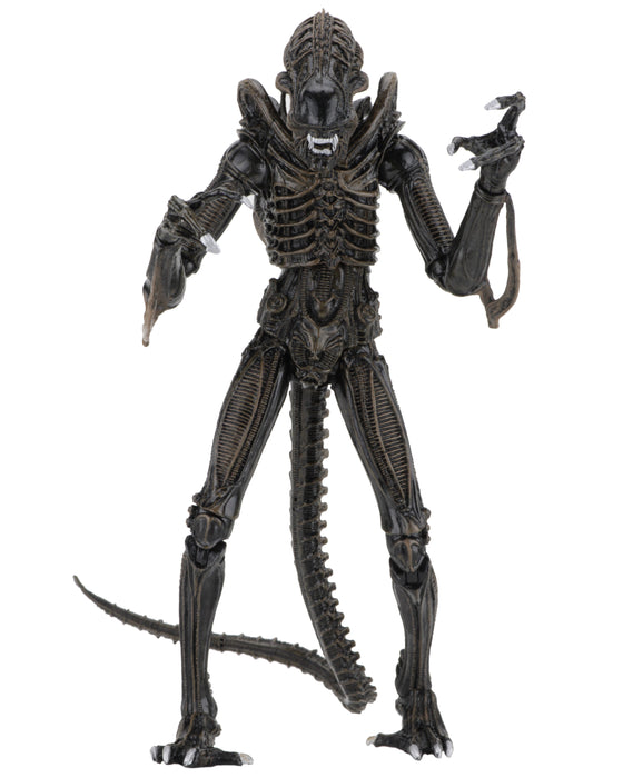 NECA Figura de Accion Ultimate: Alien - Aliens Warrior 1986 Brown 7 Pulgadas