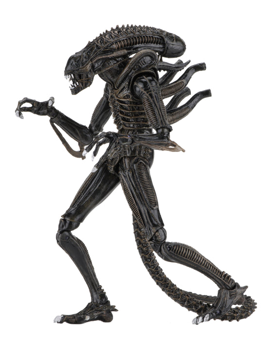 NECA Figura de Accion Ultimate: Alien - Aliens Warrior 1986 Brown 7 Pulgadas