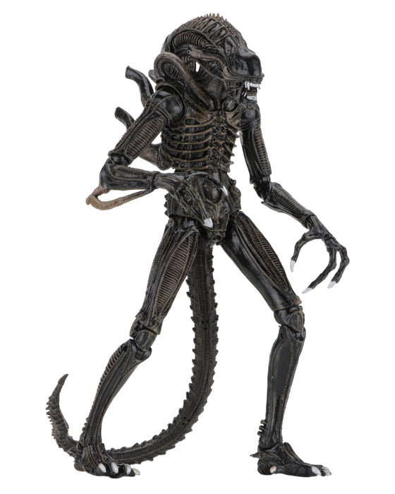 NECA Figura de Accion Ultimate: Alien - Aliens Warrior 1986 Brown 7 Pulgadas