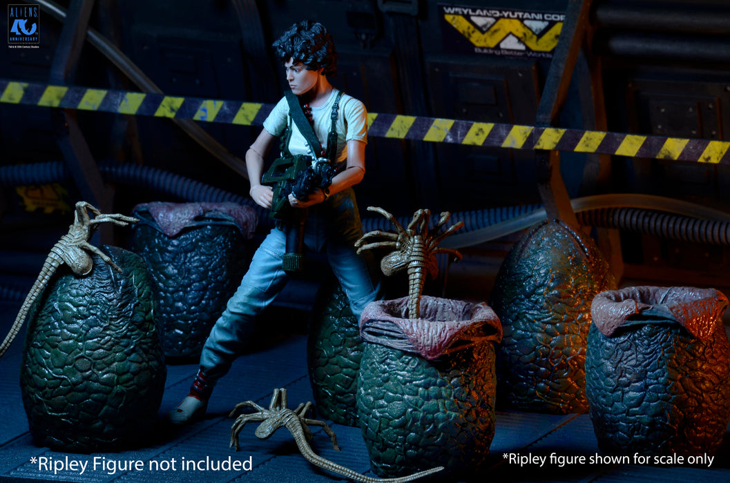 NECA Accessory Pack: Alien 40 Aniversario - Carton of Alien Eggs 6 Pack