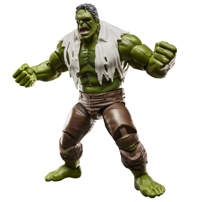 Marvel Legends Series: Spider-Man Brand New Day - Hulk