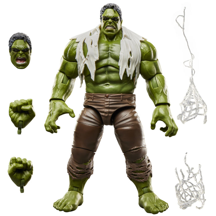 Marvel Legends Series: Spider-Man Brand New Day - Hulk