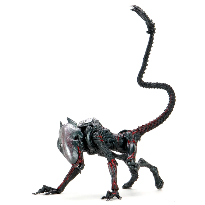 NECA Figura de Accion: Aliens - Alien Puma Nocturno 7 Pulgadas