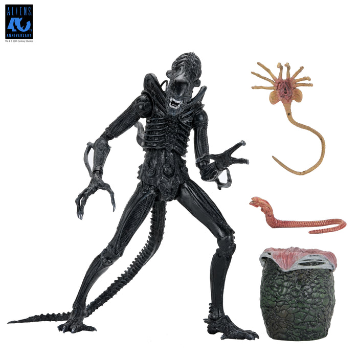 NECA Figura de Accion Ultimate: Aliens 40 Aniversario - Warrior Xenomorph Black 7 Pulgadas