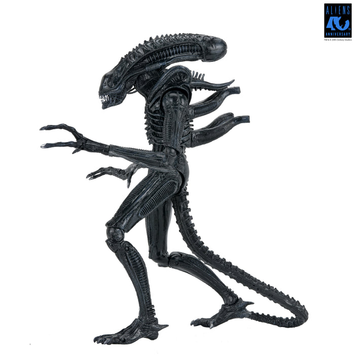 NECA Figura de Accion Ultimate: Aliens 40 Aniversario - Warrior Xenomorph Black 7 Pulgadas