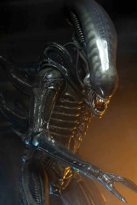 NECA Figura de Accion: Alien 40 aniversario - Big Chap Escala 1/4