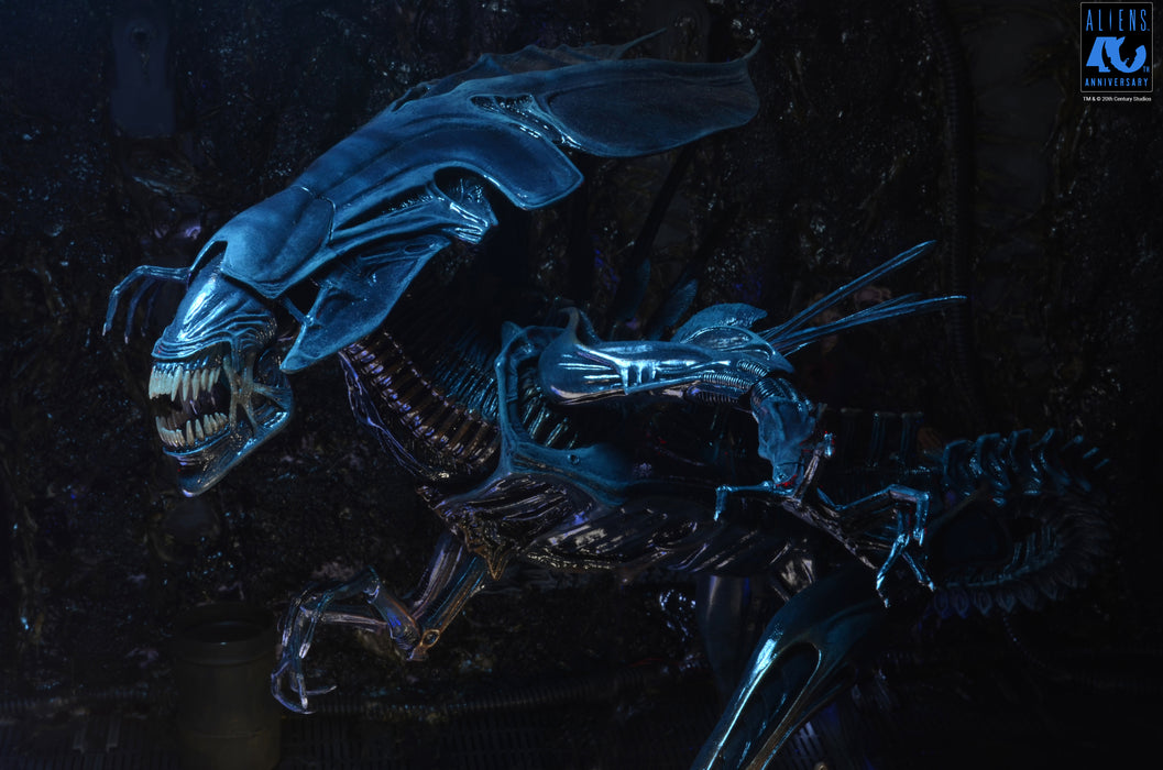 NECA Ultra Deluxe Boxed Figure: Alien 40 Aniversario - Alien Queen