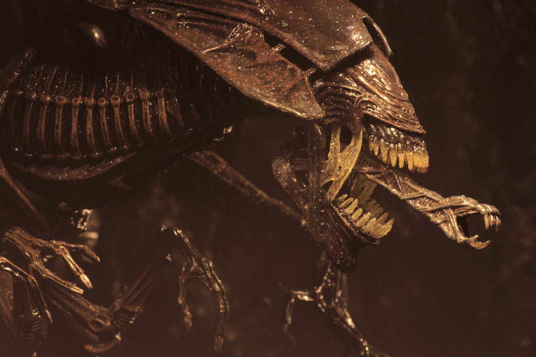 NECA Ultra Deluxe Boxed Figure: Alien 40 Aniversario - Alien Queen Resurrection Deluxe