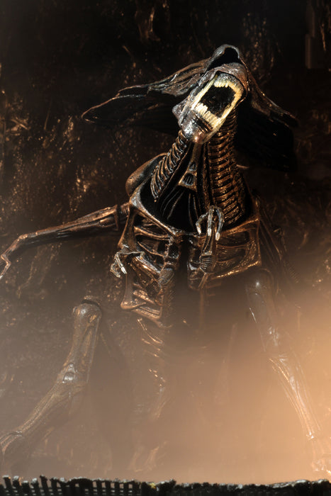 NECA Ultra Deluxe Boxed Figure: Alien 40 Aniversario - Alien Queen Resurrection Deluxe