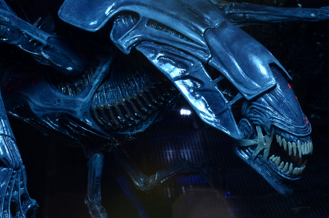 NECA Figura de Accion Ultra Deluxe Boxed: Aliens - Reina Alien 22 Pulgadas