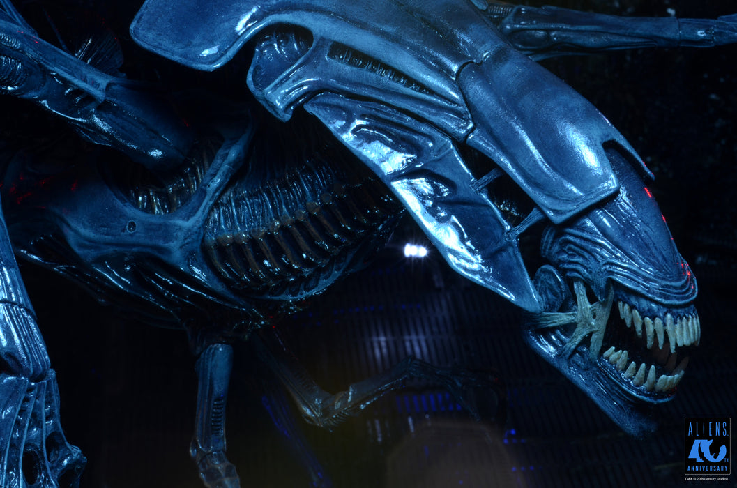 NECA Ultra Deluxe Boxed Figure: Alien 40 Aniversario - Alien Queen
