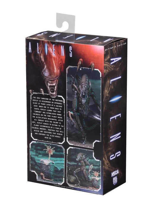 NECA Figura de Accion Ultimate: Alien - Aliens Warrior 1986 Brown 7 Pulgadas