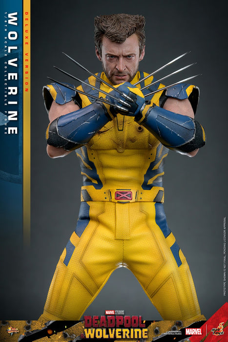 Hot Toys Movie Masterpiece Series: Marvel Deadpool y Wolverine - Wolverine Deluxe Escala 1/6
