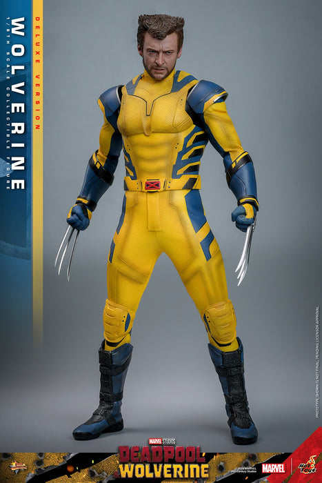 Hot Toys Movie Masterpiece Series: Marvel Deadpool y Wolverine - Wolverine Deluxe Escala 1/6