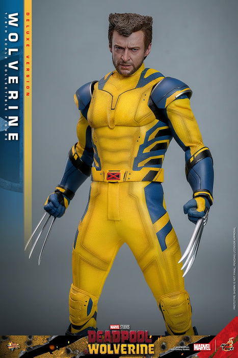 Hot Toys Movie Masterpiece Series: Marvel Deadpool y Wolverine - Wolverine Deluxe Escala 1/6