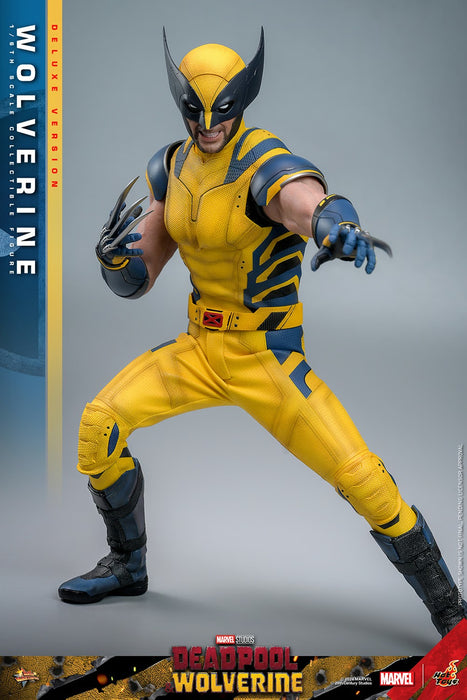 Hot Toys Movie Masterpiece Series: Marvel Deadpool y Wolverine - Wolverine Deluxe Escala 1/6