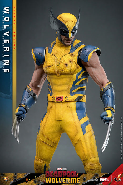 Hot Toys Movie Masterpiece Series: Marvel Deadpool y Wolverine - Wolverine Deluxe Escala 1/6