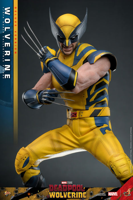 Hot Toys Movie Masterpiece Series: Marvel Deadpool y Wolverine - Wolverine Deluxe Escala 1/6