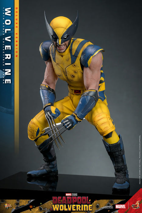 Hot Toys Movie Masterpiece Series: Marvel Deadpool y Wolverine - Wolverine Deluxe Escala 1/6