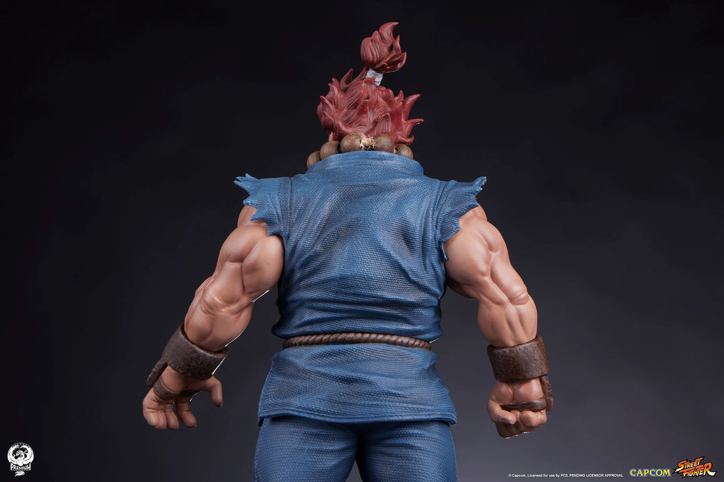 PCS Statue: Street Fighter - Set Akuma y Dhalsim Escala 1/10