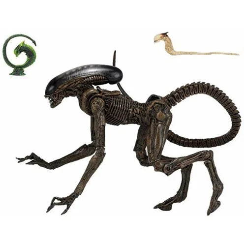 NECA Figura de Accion Ultimate: Alien - Perro Alien 7 Pulgadas