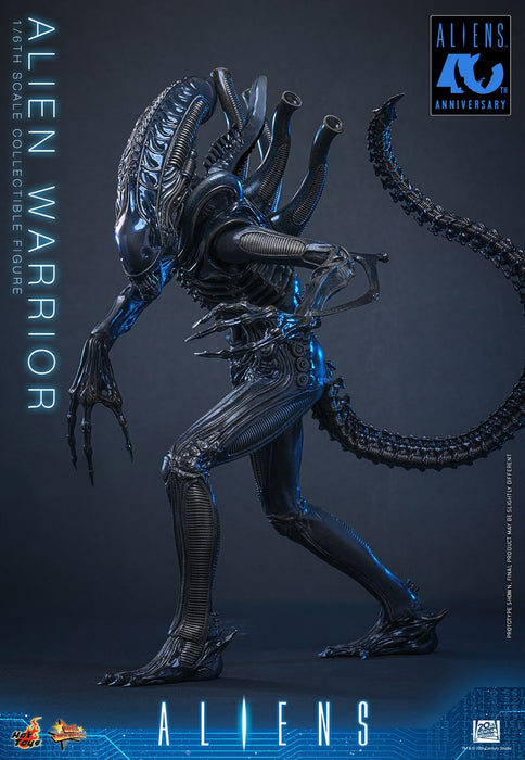 Hot Toys Movie Masterpiece Series: Alien - Alien Warrior Escala 1/6