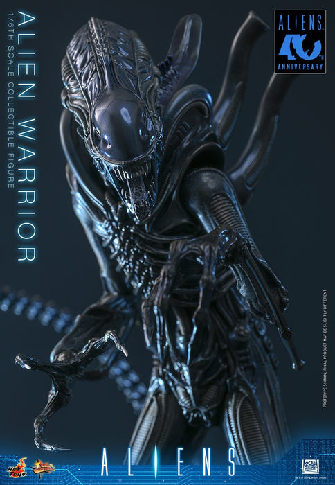 Hot Toys Movie Masterpiece Series: Alien - Alien Warrior Escala 1/6