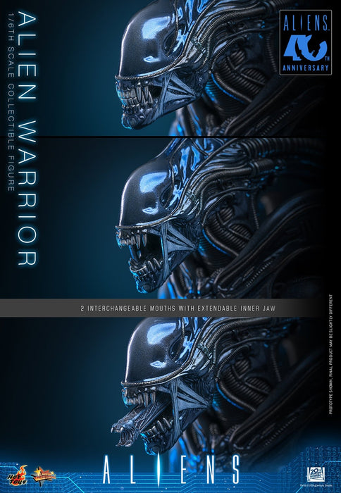 Hot Toys Movie Masterpiece Series: Alien - Alien Warrior Escala 1/6