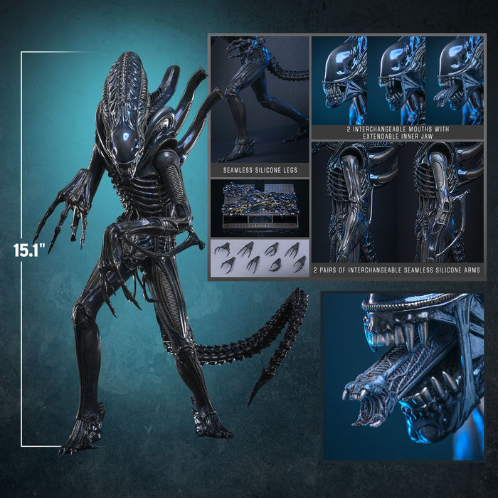 Hot Toys Movie Masterpiece Series: Alien - Alien Warrior Escala 1/6