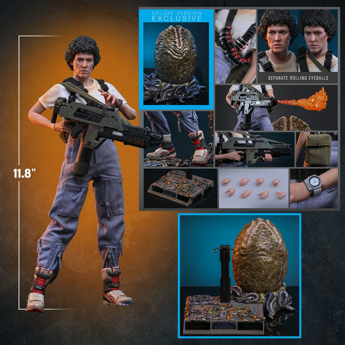 Hot Toys Movie Masterpiece Series: Alien - Ellen Ripley Deluxe Escala 1/6