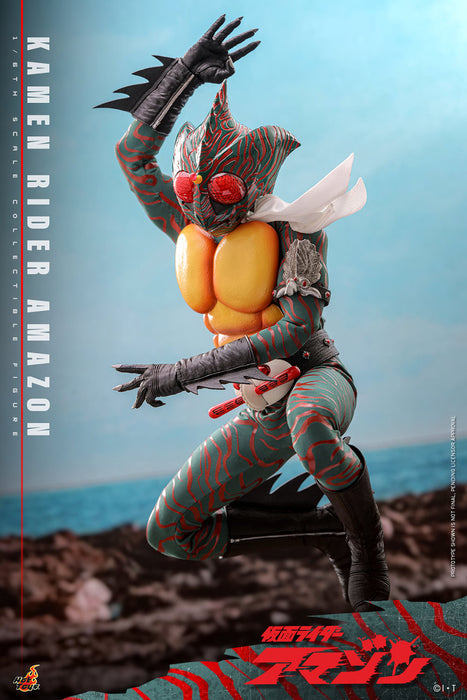 Hot Toys Movie Masterpiece Series: Kamen Ride - Amazon Escala 1/6