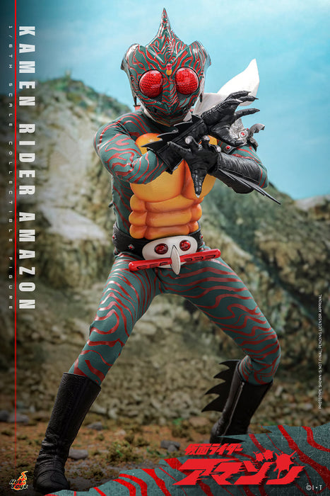 Hot Toys Movie Masterpiece Series: Kamen Ride - Amazon Escala 1/6