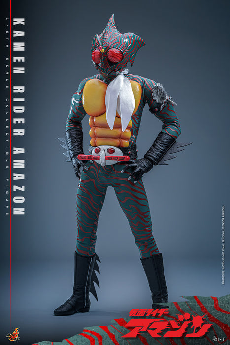 Hot Toys Movie Masterpiece Series: Kamen Ride - Amazon Escala 1/6