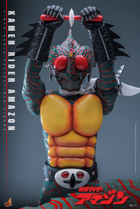Hot Toys Movie Masterpiece Series: Kamen Ride - Amazon Escala 1/6