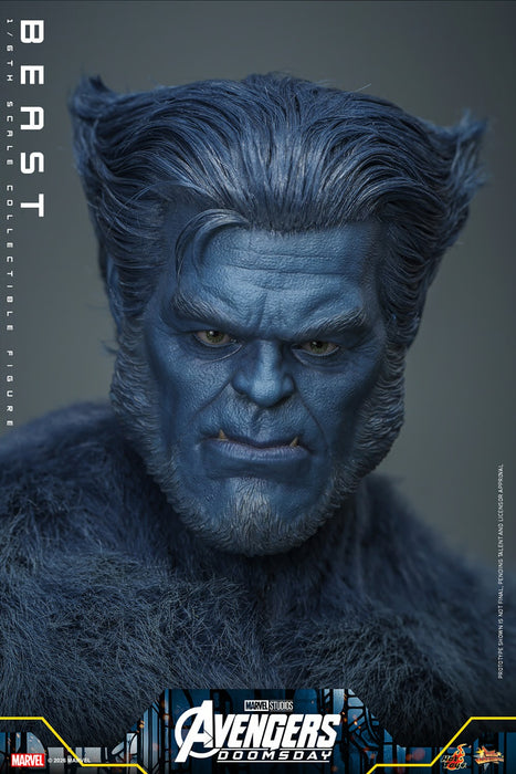 Hot Toys Movie Masterpiece Series: Avengers Doomsday - Bestia Escala 1/6