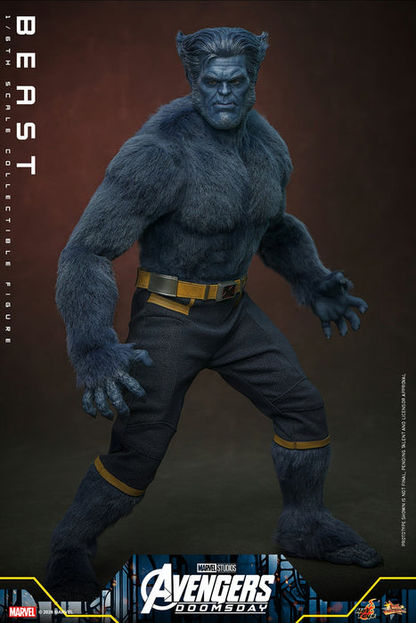Hot Toys Movie Masterpiece Series: Avengers Doomsday - Bestia Escala 1/6